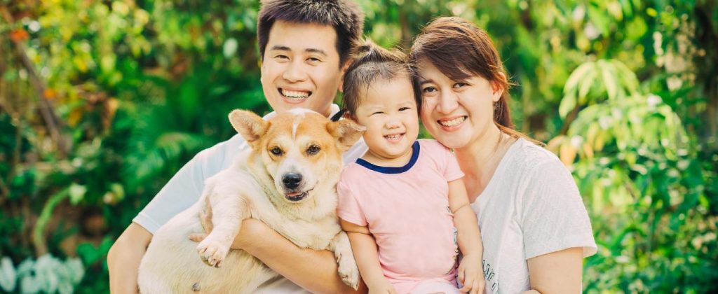 Khi thú cưng là nguồn cảm hứng nghệ thuật
