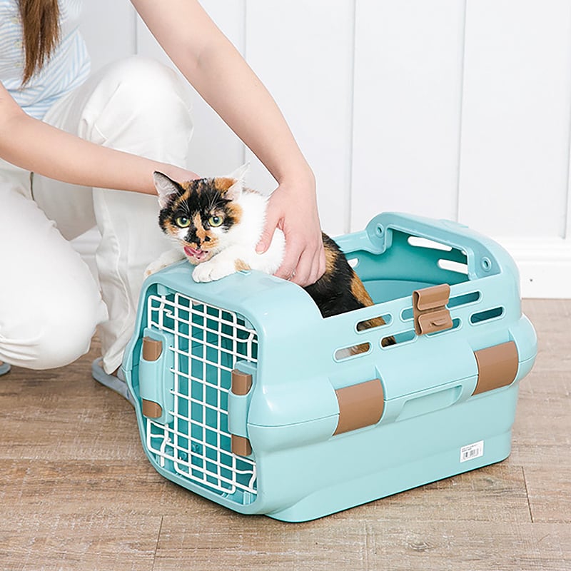 Kinh Nghiệm Chọn Lồng Vận Chuyển Cho Mèo An Toàn Và Sạch Mùi