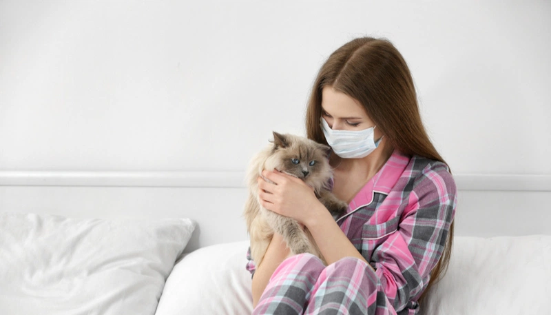 Cách Xử Lý Khi Dị Ứng Lông Mèo