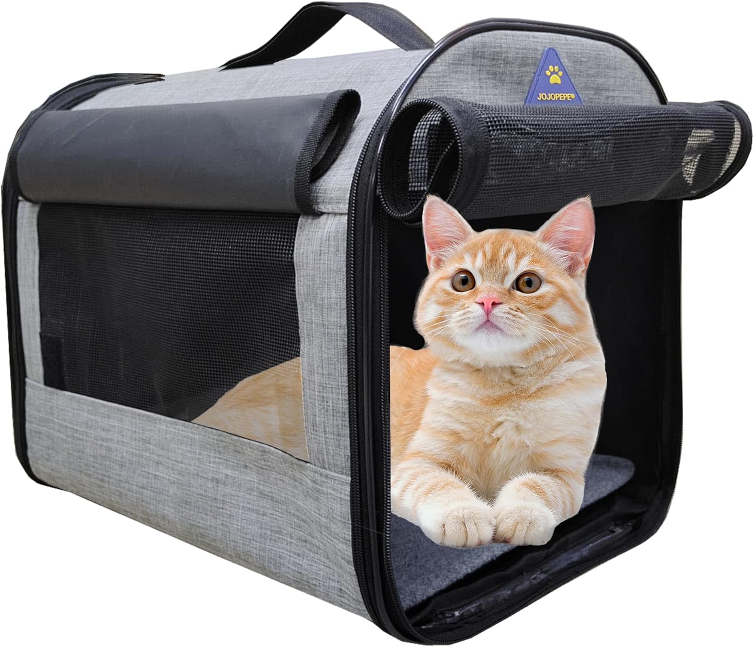 Regulations for Transporting Pets by Air to Australia