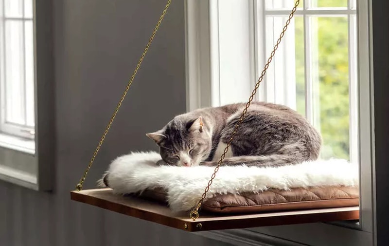 How to Make a Cool Pet House or Bed from Simple Materials