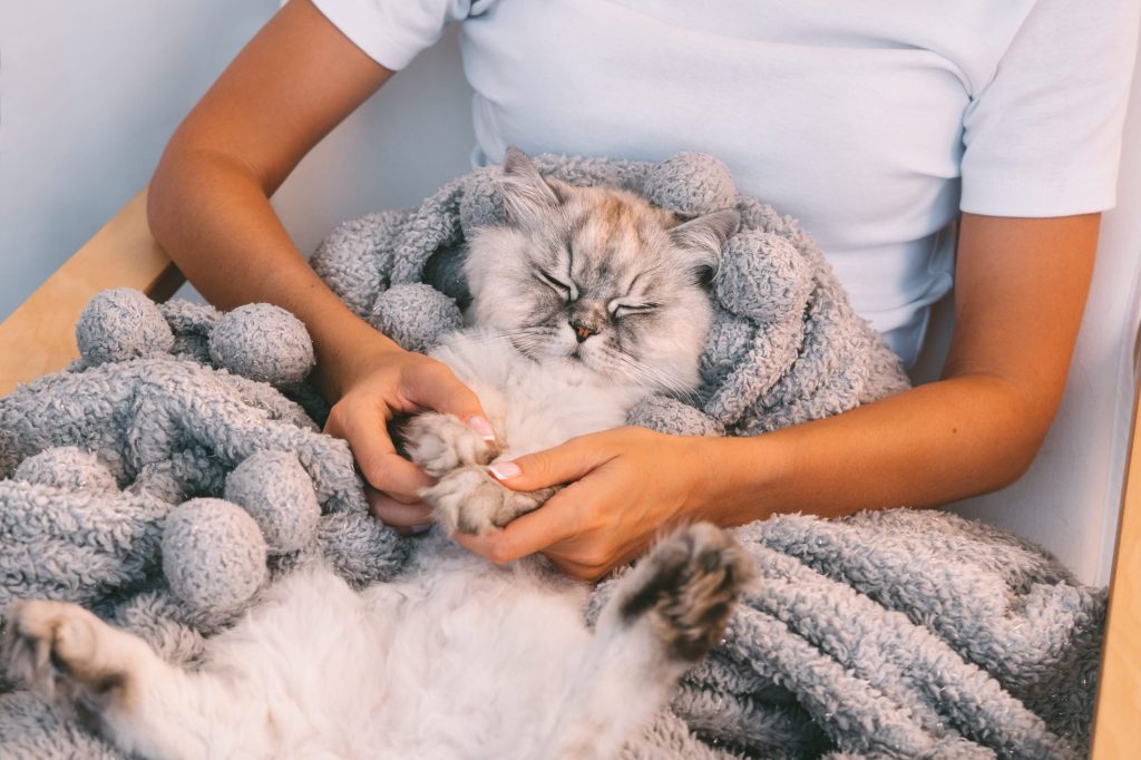 Vai trò của thú cưng trong việc chữa lành tâm hồn con người
