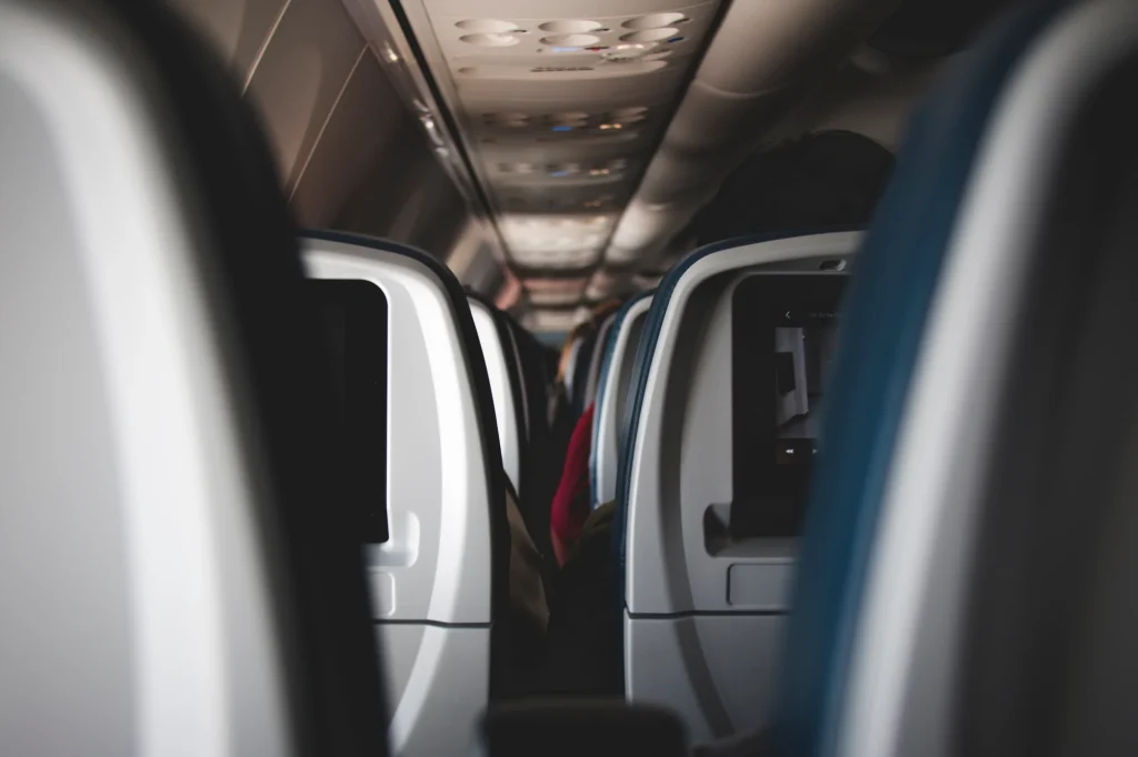 2025 Airline Policy Updates for Pet Travel: What Vietnamese Flyers Need to Know
