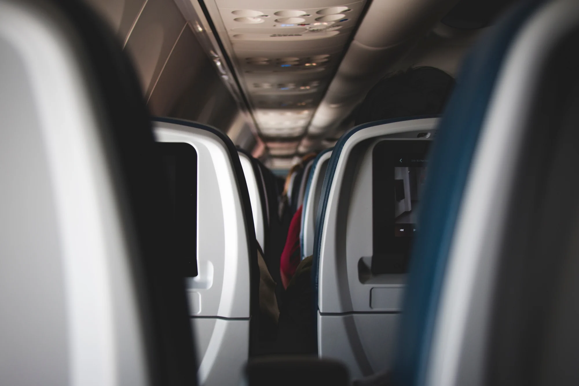 2025 Airline Policy Updates for Pet Travel: What Vietnamese Flyers Need to Know