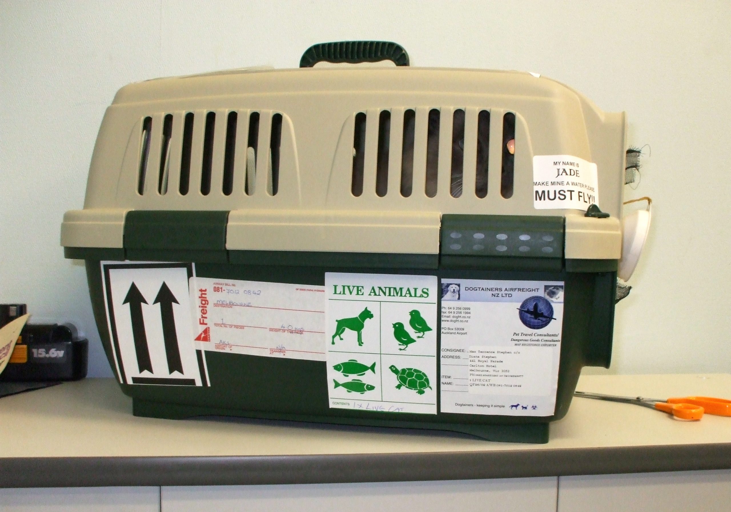 Plastic cages for transporting cats and dogs.