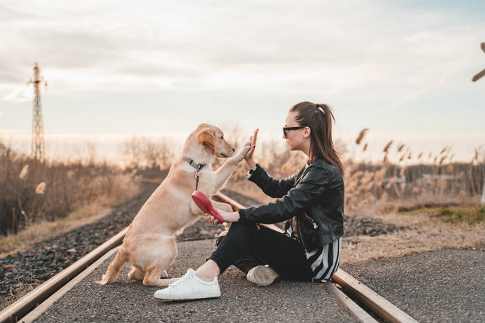 Bringing A Senior Pets To China - Points to Note