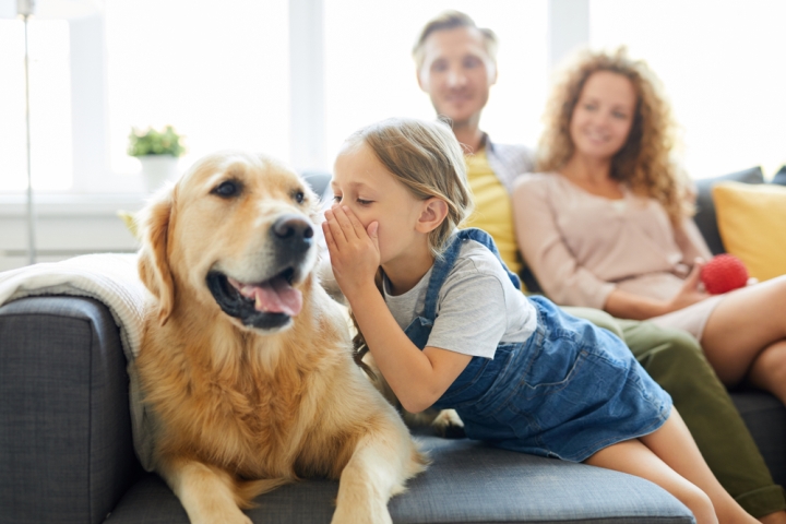 Dogs and Their Incredible Ability to Understand Human Emotions