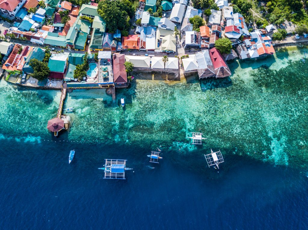 Vận chuyển thú cưng từ Việt Nam đến thành phố Cebu, Philippines