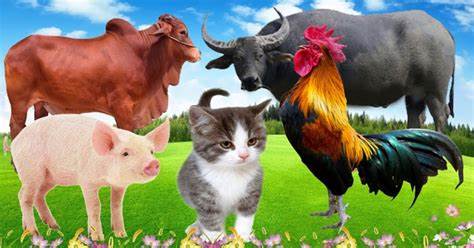 Top Imported Livestock Breeds Gaining Popularity