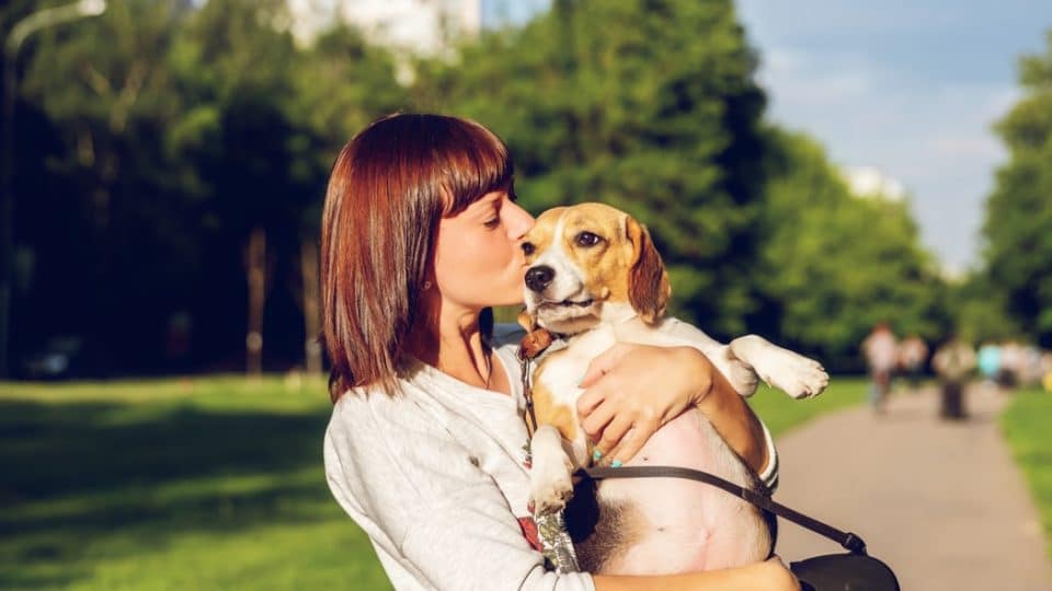 The Language of Love: How Humans Show Affection to Their Pets