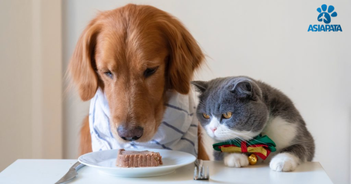 Nutrition for Senior Dogs or Cats