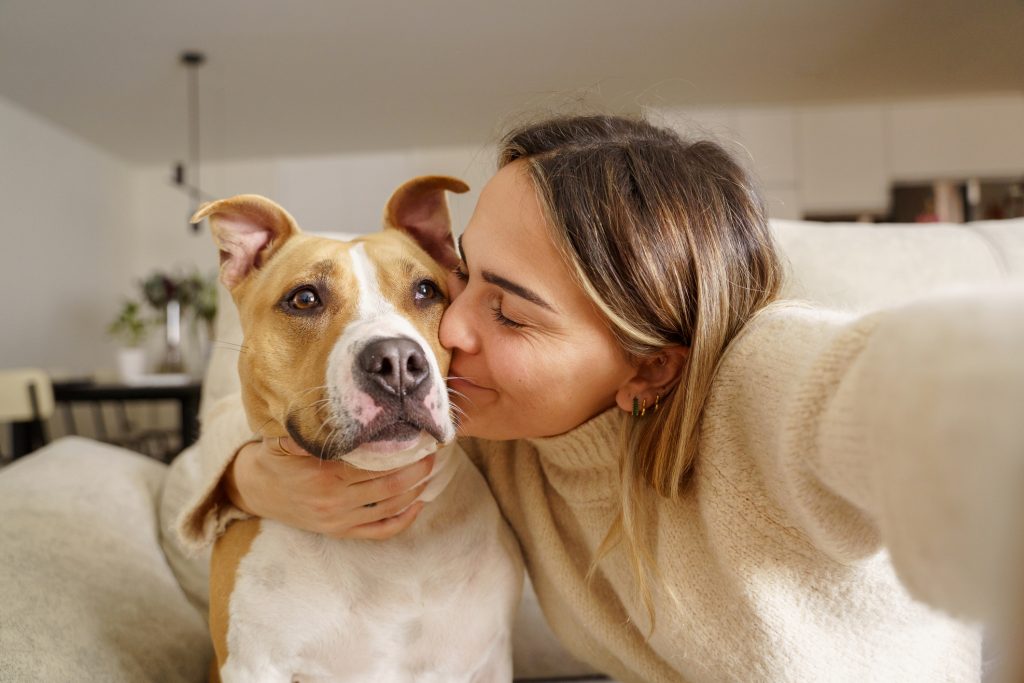 The Benefits Of Having A Pet