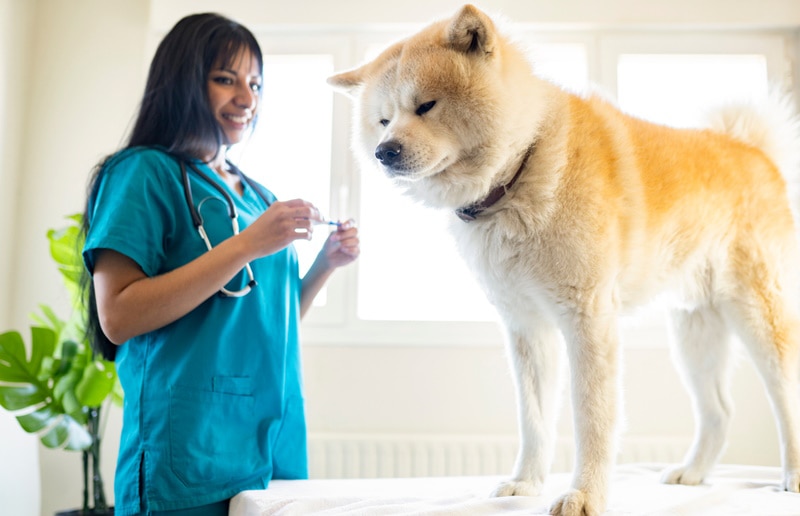 Genetic Testing Before Breeding: Technology, Cost & Benefits for Responsible Pet Breeding