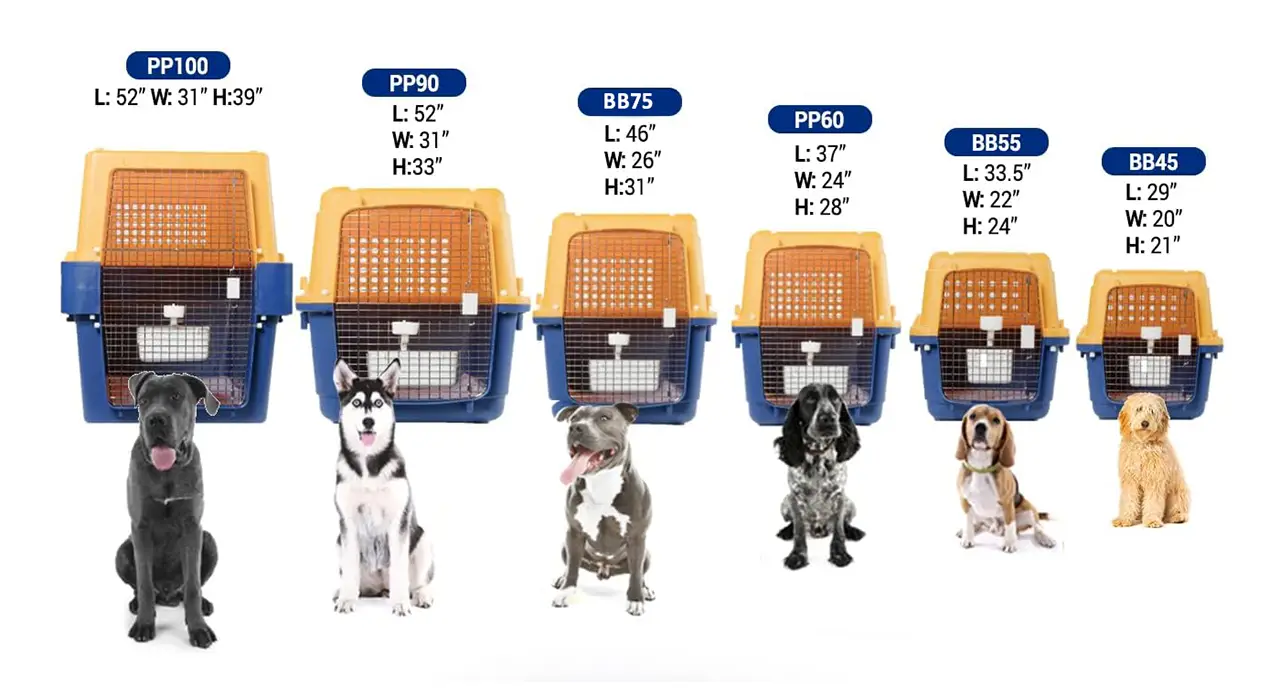 Airline-Approved Travel Crate Size Requirements - ASIAPATA - Asia Pet ...